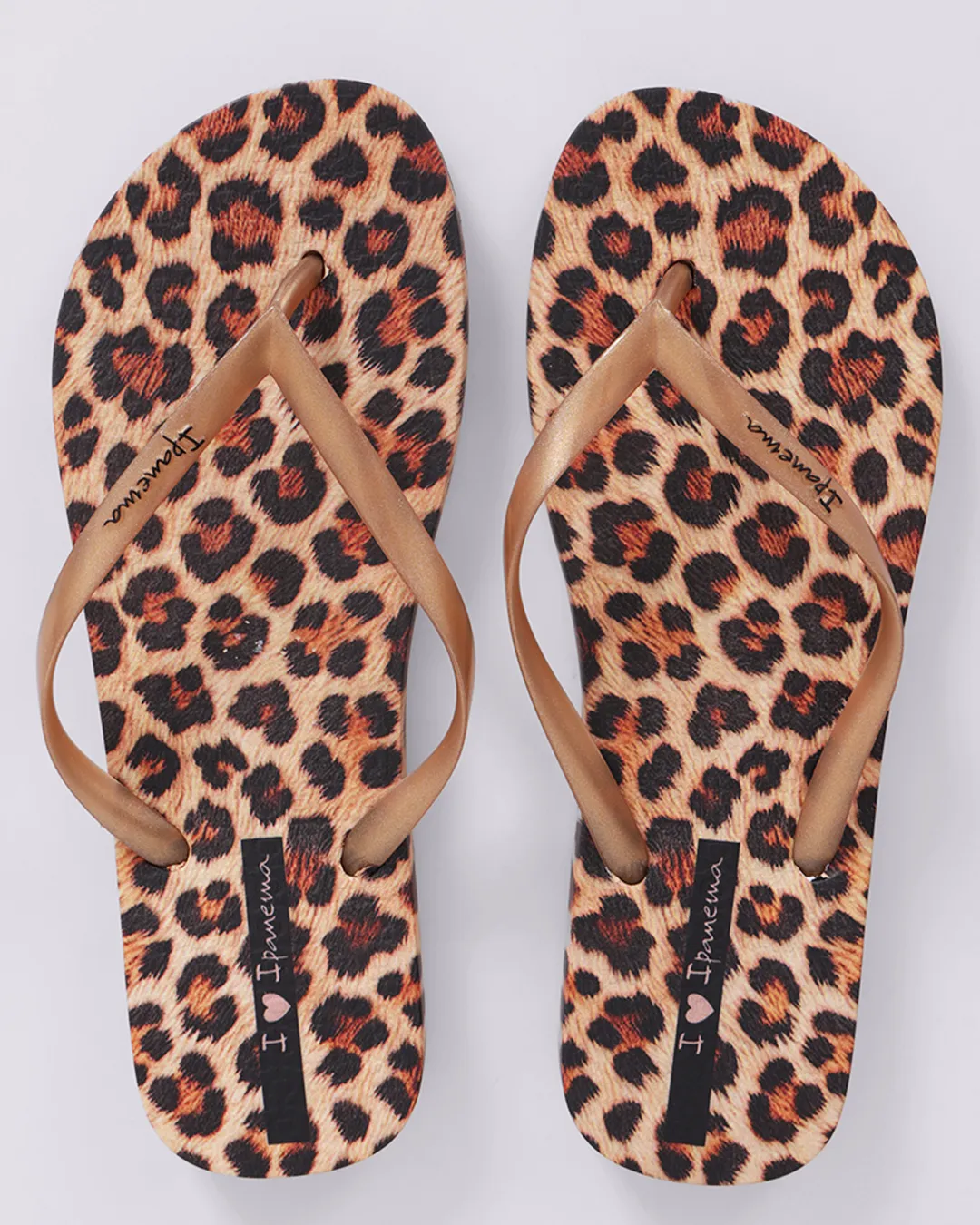 Chinelo Ipanema Feminino com Estampa Oncinha Marrom